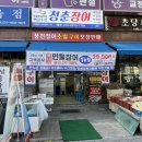 청춘장어