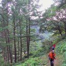 법원길 삼거리 앞 이미지