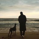 바다냥이네 이미지