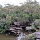 호주 시드니 : 힛코트 국립공원(Heathcote NP) 이미지