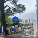 국시집 - 강릉시 팔송길35번길 30 | [대구 중구] 서문시장 2지구 '장금이 국시집' 내돈내산 후기