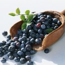 그린헬스 이미지