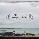 귤담집 | 제주 여행 일기 DAY1 : 비오는 제주, 세화 해변 산책. 몸국 이라는 묘한 경험