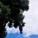 관어공원(호국사) 이미지