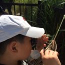 동물식물 생태 체험교실 이미지