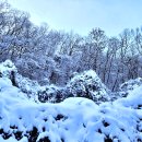 전남 광주 무등산국립공원 눈꽃 산행 이미지