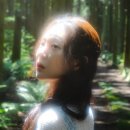 제주지니클린