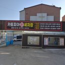 카토피아손세차