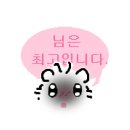 MJ Ground 휘트니스 클럽 | 2026년 히게단 내한 콘서트 후기