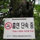 계수나무떡집 이미지