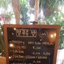 별푸른밤