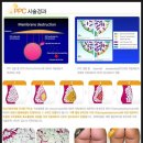 비마 클리닉 이미지