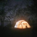 숲속에 안뜰 이미지