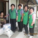 동문동537 이미지