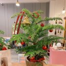 사계절꽃집 이미지