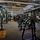 머슬탑 휘트니스 본점 이미지