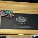 시엘 | 압구정 갤러리아 딸기폭탄 케이크｜비포블루밍 앤 롤시엘 후기