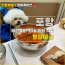 영일가방 | 포항 물회 맛집 영일대궁 - 강아지와 애견동반 실내 룸 식사 후기!