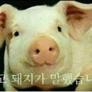 삼겹나라 이미지