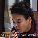 냐옹지마