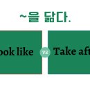 미:닮다 이미지
