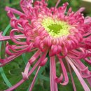 동래원예고등학교 이미지