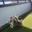 칠곡유치원 이미지