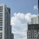 유림약국 - 동구 대전로779번길 7 | 동탄꽃집 기념일, 선물 추천 24시간 무인 픽업 가능 물올림