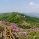봉화산 이미지