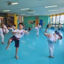 국가대표 경호 태권도장 이미지