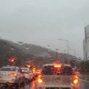 노안면사무소 | 주간일기 16 [바빠도 너무 바쁜 거 아닝교🤨]