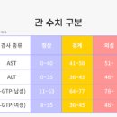 간수치 정상 범위 정상 AST / ALT / LDH / ALP / 감마지티피 빌리루빈 수치 무엇일까? 이미지