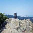 신선대 입구 임도 이미지