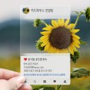 메타버스공인중개사사무소 이미지