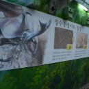 여주곤충박물관 이미지