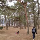 하천섬(주차장) 이미지