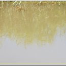 마음의안경 이미지