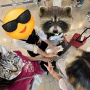 씨유김포상마리치점 | 제주도 (22.08.06-08.08)