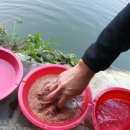 배내미낚시터 이미지