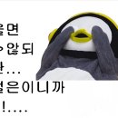 유스커피 이미지