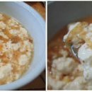 초당순두부 Daum카페