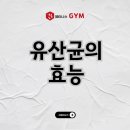 뷰티니스짐 이미지