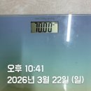 유자네면빨땡기는날 | 💉 위고비 대신 자린고비 🐟 시작합니다