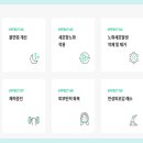 오아시스디앤디 이미지