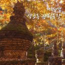 산내로 | 대전 여행 한국의 앙코르와트 상소동 산림욕장 방문기