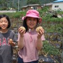 인성초등학교 이미지