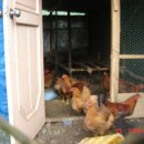 신천농장 이미지