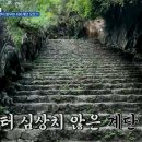 파인독(pine dog) | 니돈내산 독박투어4 베트남 닌빈 "우리 형 치매 아니네?" 용봉탕 염소고기 식당 리조트 고카트 골프장...