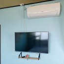 태신전기조명 | 제주애견동반숙소 조식 제공되는 스테이반하나 솔직후기