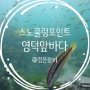영덕물회 네이버블로그